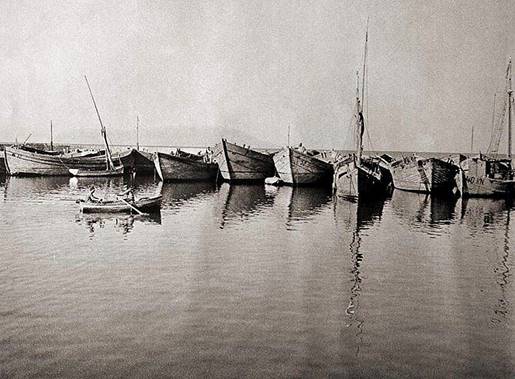 �������_1