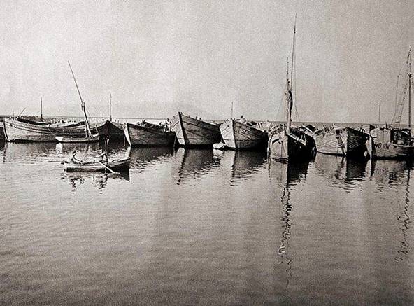 �������_1