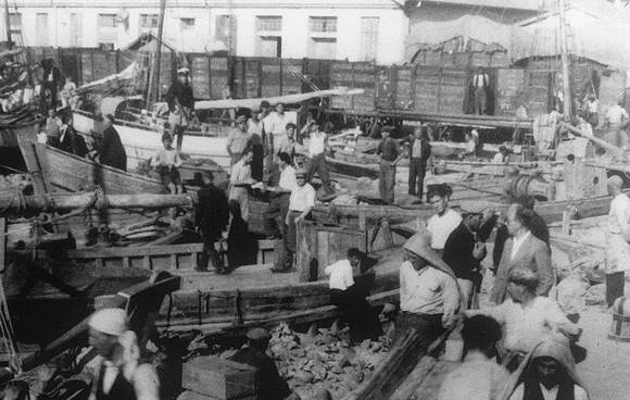 �������5_1e