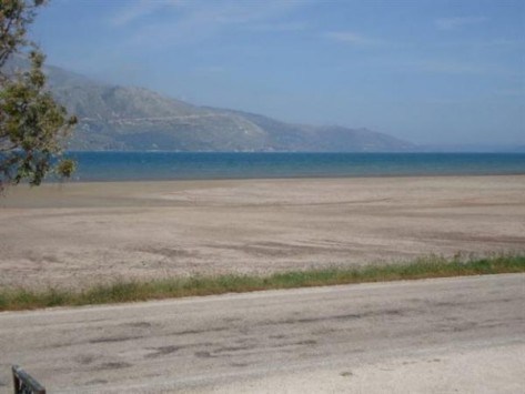 ����: ������������ ������